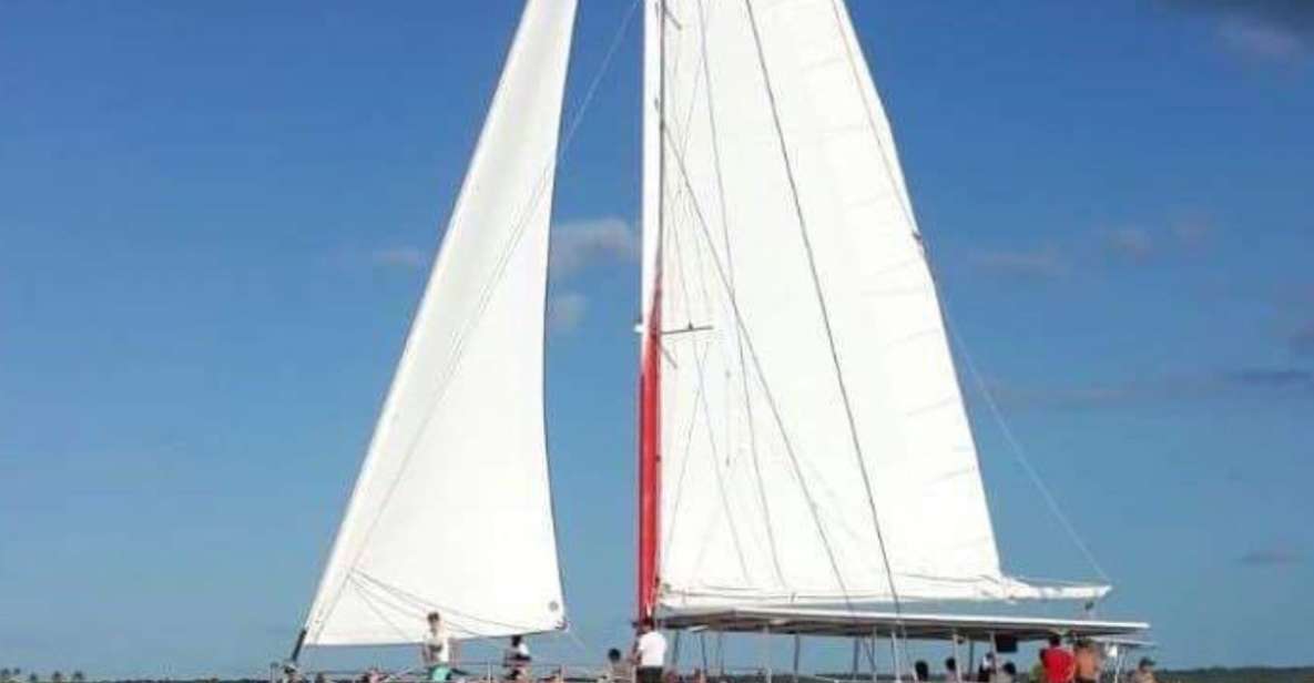 Saona Island: Full-Day Boat Tour With Drinks & Buffet Lunch - Cotubanama National Park