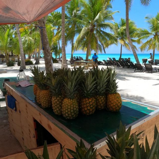 Saona Island: Full-Day Boat Tour With Drinks & Buffet Lunch - Local Culture and Cuisine