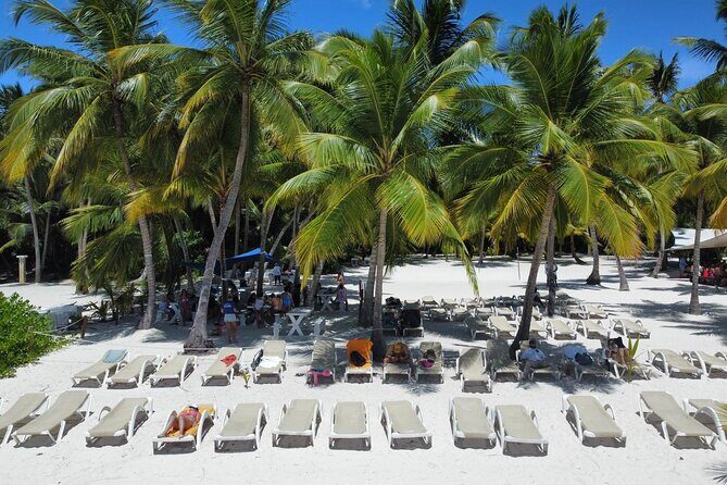 Saona Island: Full-day Catamaran Tour - Small Group - Introducing the Saona Island: Full-day Catamaran Tour - Small Group