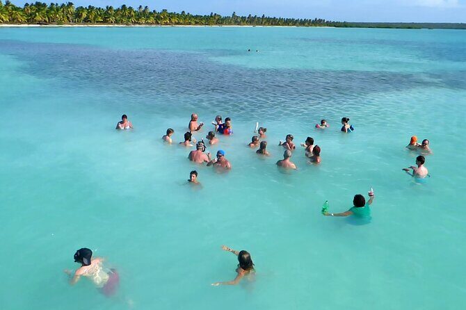 Saona Island: Full-day Catamaran Tour - Small Group - Who Will Love This Tour?
