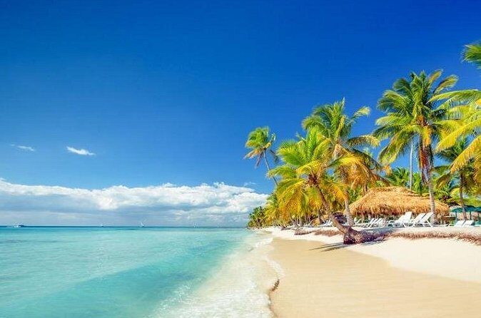 Saona Island Full-Day Excursion - FAQ