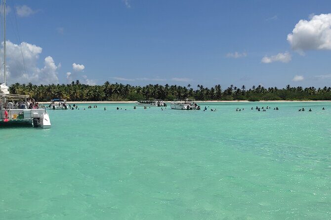 Saona Island Full Day From Punta Cana - The Sum Up