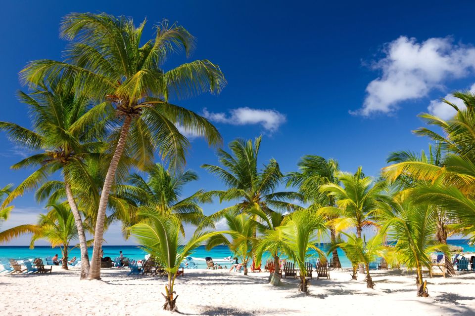 Saona Island Full Day: Natural Pool & Catamaran Cruise - Key Points