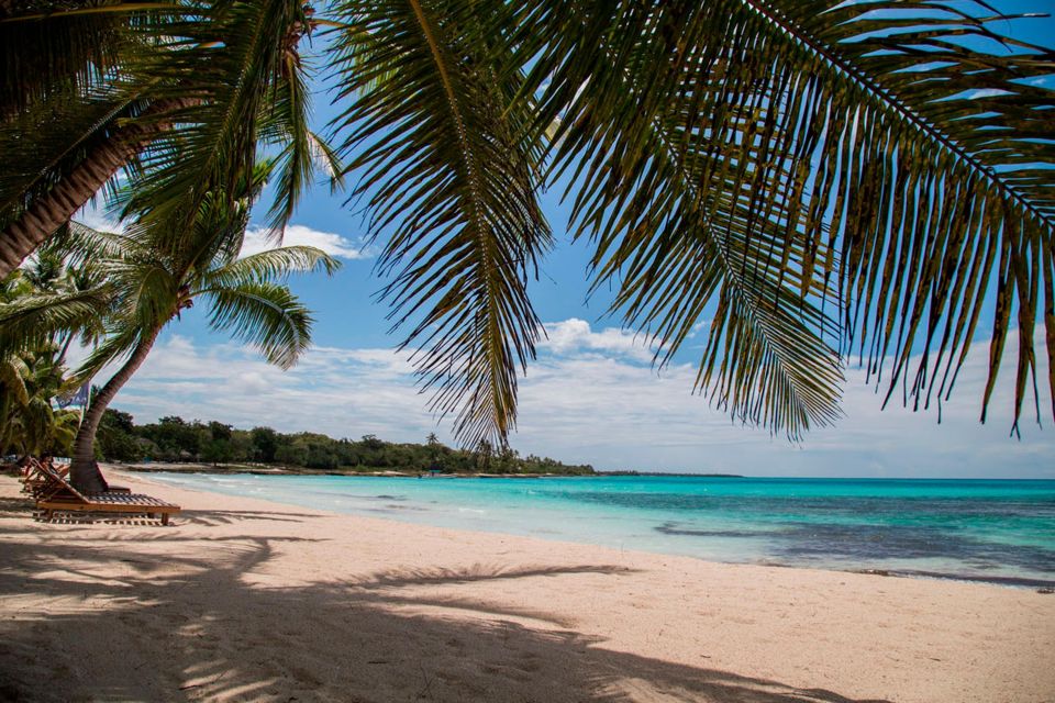 Saona Island Full Day: Natural Pool & Catamaran Cruise - Natural Pool Swim