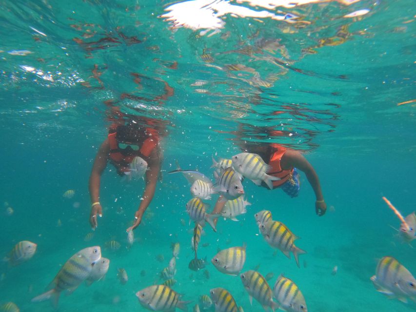 Saona Island Full Day: Natural Pool & Catamaran Cruise - Pristine Beaches