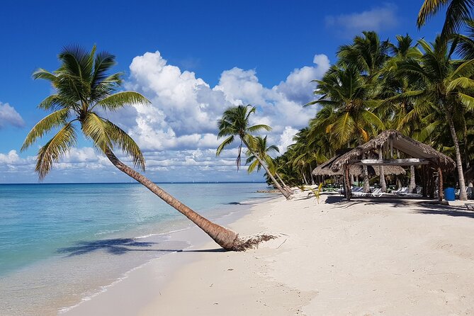 Saona Island Full-Day Tour From Boca Chica - Key Points