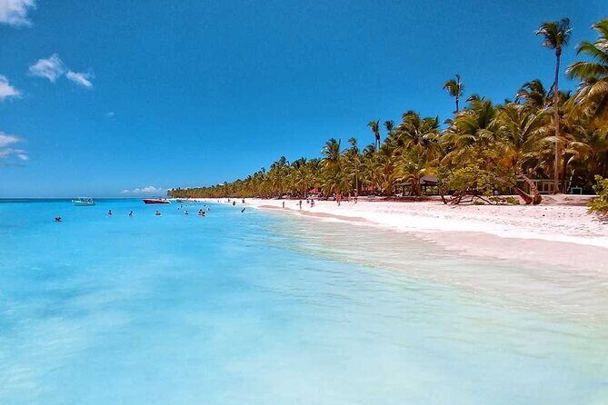 Saona Island Full-Day Tour from Santo Domingo - The Itinerary: What to Expect from Dawn to Dusk