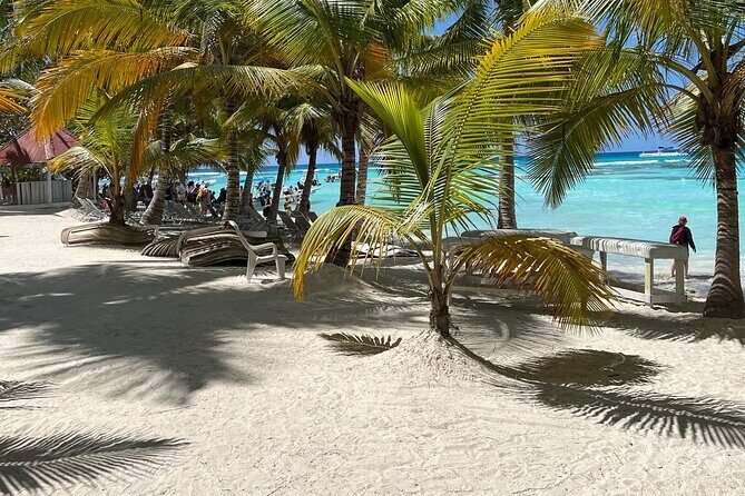 Saona Island Full Day Tour with Buffet Lunch, Paella, & Open Bar - Who Should Consider This Tour?