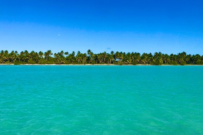 Saona Island Full Day Tour with Buffet Lunch, Paella, & Open Bar - FAQ: Your Questions About the Saona Island Full Day Tour