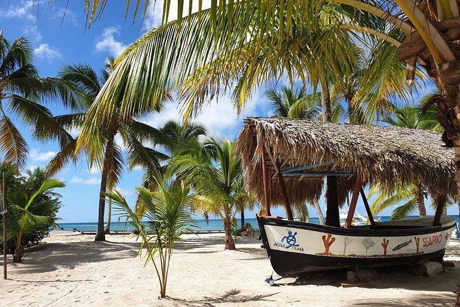Saona Island Full-Day Tour With Lunch From Punta Cana - Itinerary Highlights