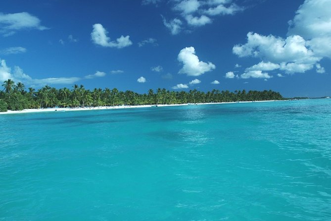 Saona Island Full-Day Tour With Lunch From Punta Cana - Inclusions and Exclusions