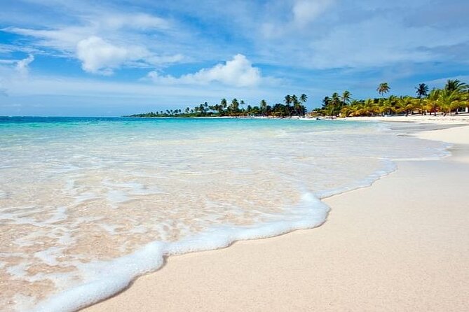 Saona Island Full-Day Tour With Lunch From Punta Cana - Customer Feedback