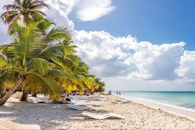 Saona Island Full-Day Tour With Lunch From Punta Cana - Final Thoughts