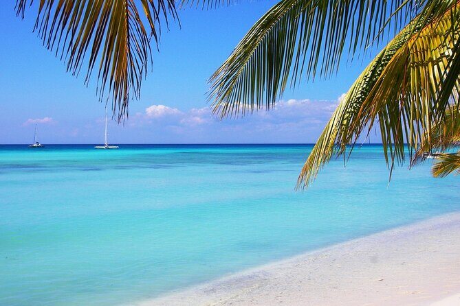 Saona island full day tours - catamarán party from santo domingo - FAQ