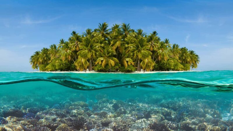 Saona Island: Hidden Beach & Natural Pool - An Overview of Saona Island: What to Expect