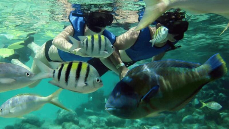 Saona Island: Hidden Beach & Natural Pool - FAQ