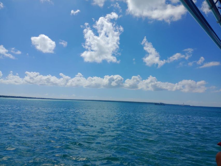 Saona Island: Highlights Tour With Catamaran and Speedboat - Activities on the Island