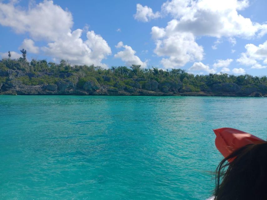 Saona Island: Highlights Tour With Catamaran and Speedboat - Tour Highlights