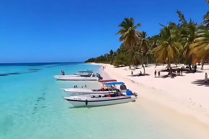 Saona Island / Isla Saona #1 SERVICES V.I.P - What to Expect from the Saona Island / Isla Saona #1 SERVICES V.I.P Tour