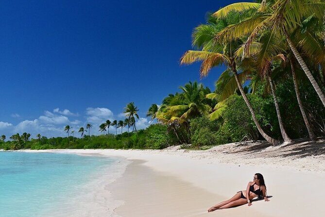 Saona Island, memorable all-inclusive experience, from Santo Domingo. - A Full Breakdown of the Saona Island Day Trip