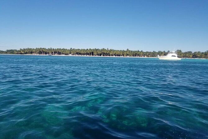 Saona Island Package with Roundtrip Transportation from Airport and Hotels - Frequently Asked Questions