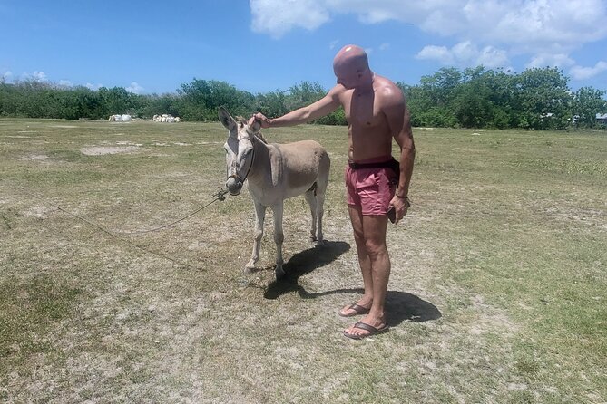 Saona Island Premium Discovery Tour From Punta Cana or Bayahíbe - Traveler Feedback and Experiences