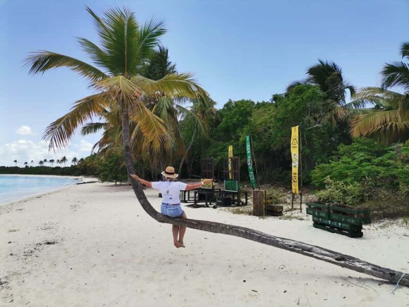 Saona Island Private Beach Club with Lunch - The Value Proposition