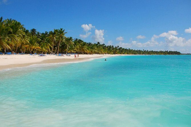 Saona Island Private Boat Tour with Lunch and Beverages - Setting the Scene: What Does the Tour Involve?