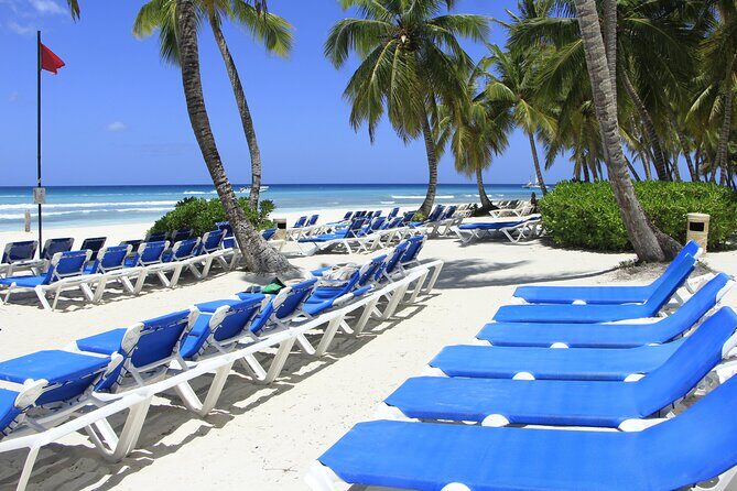 Saona Island Private Boat Tour with Lunch and Beverages - What Travelers Say: Real Feedback and Insights