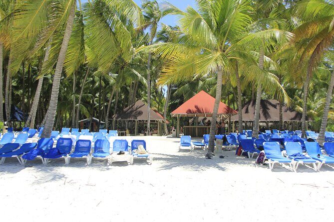 Saona Island Private Boat Tour with Lunch and Beverages - Analyzing the Value: Is It Worth It?