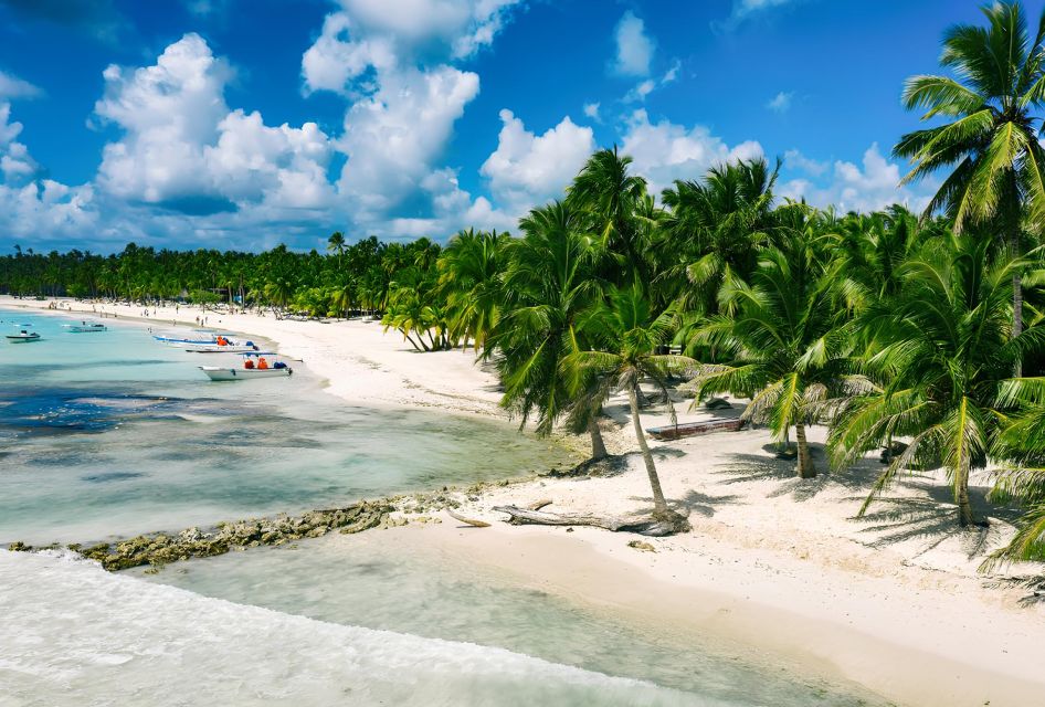 Saona Island Private: Speedboat Tour From Punta Cana - Itinerary
