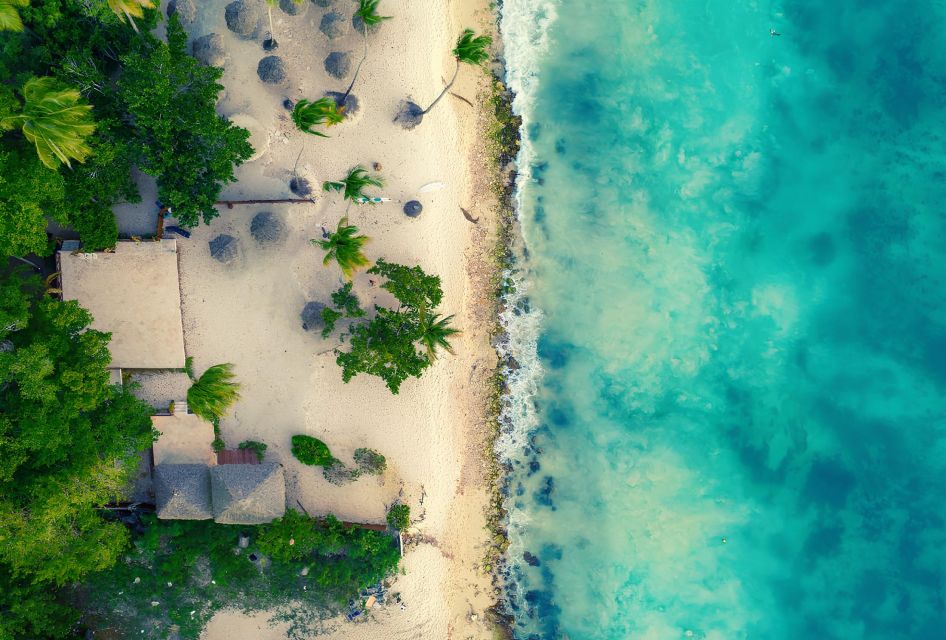 Saona Island Private: Speedboat Tour From Punta Cana - Private Speedboat Transport