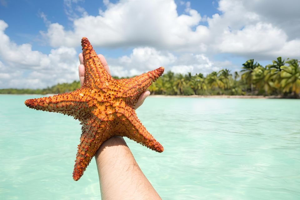 Saona Island Private: Speedboat Tour From Punta Cana - Tropical Surroundings