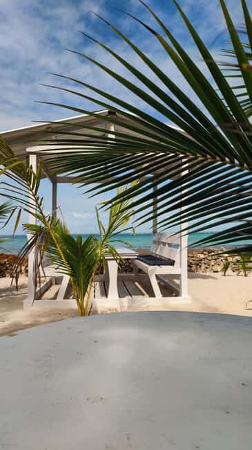 Saona Island: Private Yacht Tour with Lunch & Pickup - The Sum Up: Is This Tour Right for You?