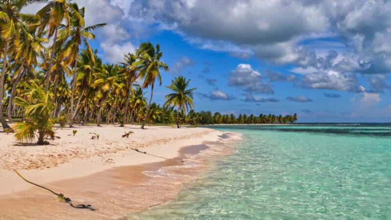 Saona Island: Punta Cana All-Inclusive - Key Points