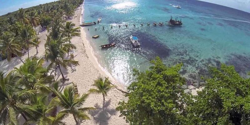 Saona Island: Relaxation Day Trip with Open Bar - An In-Depth Look at the Tour