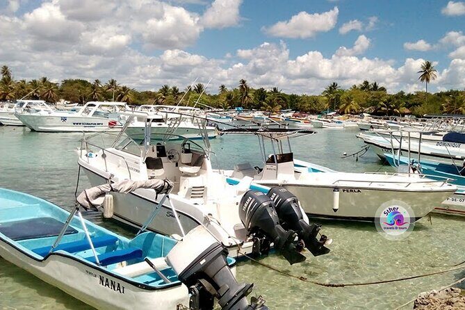 SAONA ISLAND - Rhythm, Rum & Radiant Beaches - PUNTA CANA - Who Should Consider This Tour?