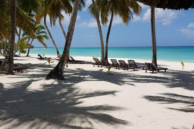 Saona Island small group and relax - luxury catamaran - Final Thoughts: Is This the Right Tour for You?