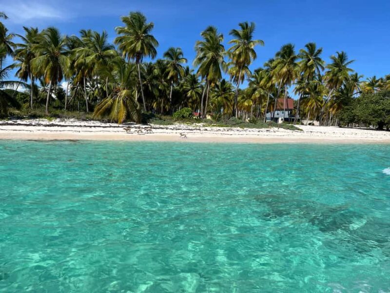 Saona Island: Small Group Virgin Beaches Cruise Day Trip - Key Points