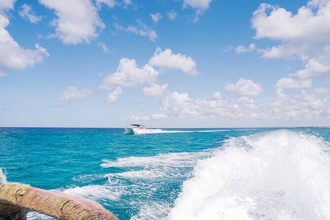 Saona Island Summer - FAQs