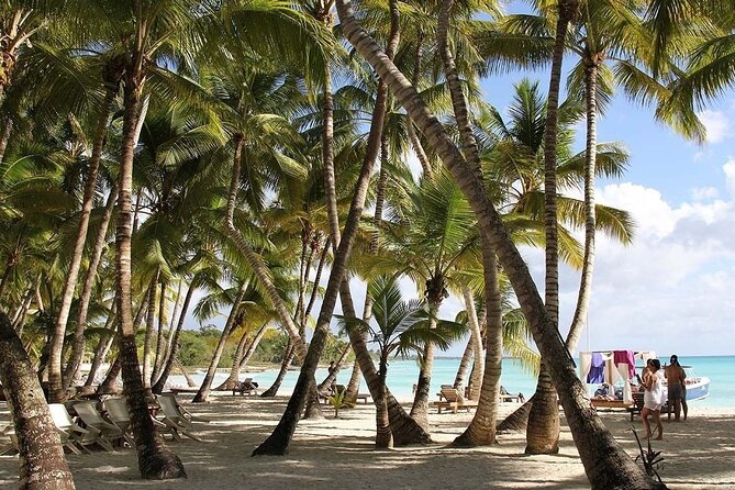 Saona Island & Sunset Cruise With Lunch & Drinks - Itinerary and Activities