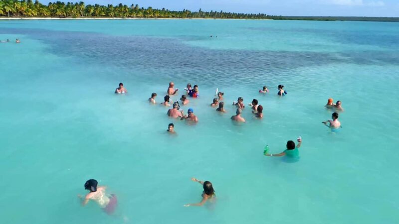 Saona Island Tour From Santo Domingo with Lunch and Pickup - Key Points  