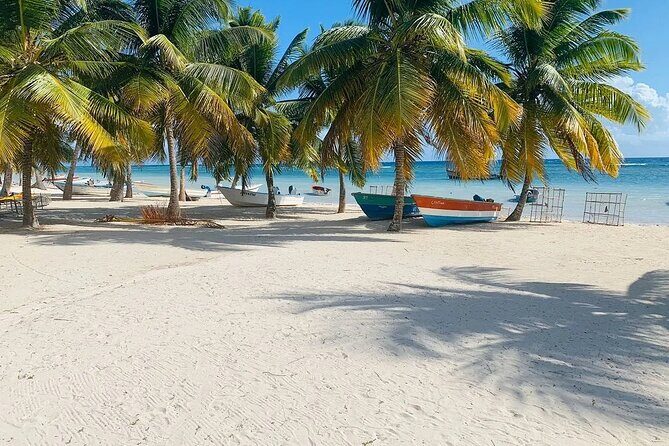 Saona Island Tour From Santo Domingo with Lunch, Open Bar, Pickup - Practical Considerations and Tips  