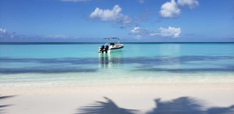 Saona Island Tour from Santo Domingo with Lunch - What to Expect on This Full-Day Adventure