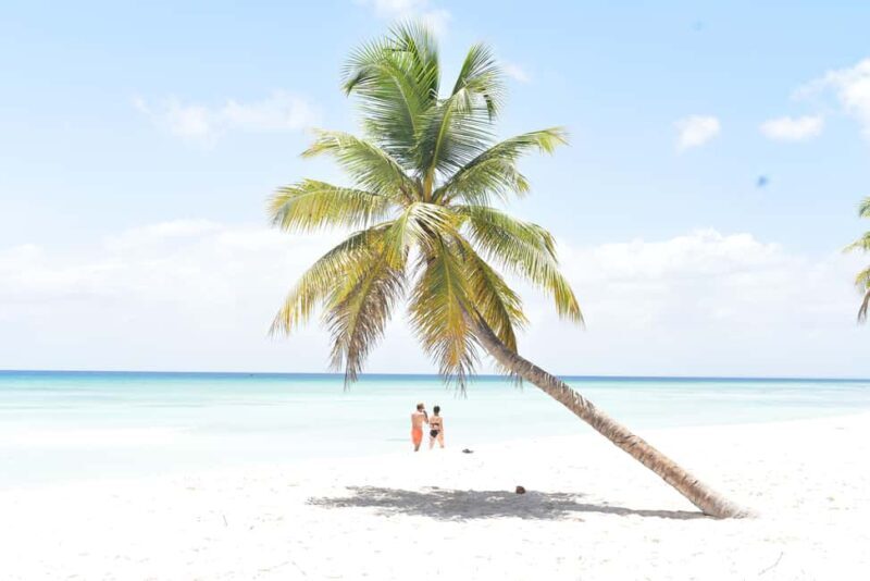 Saona Island Tour from Santo Domingo with Lunch - Authentic Experiences and Traveler Feedback