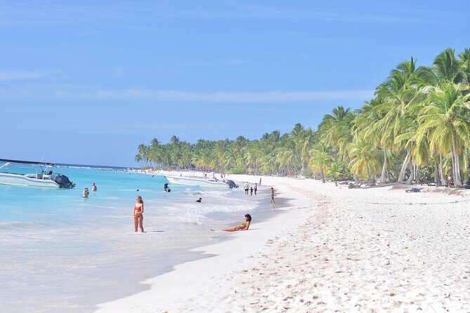 Saona Island Tour in Punta Cana - Why Travelers Choose This Tour