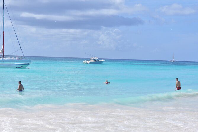 Saona Island Tour in Punta Cana - Who Is This Tour Best For?