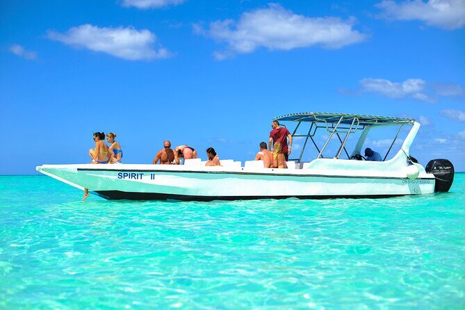 Saona Island Tour with Altos de Chavón from Punta Cana - Who Should Consider This Tour?