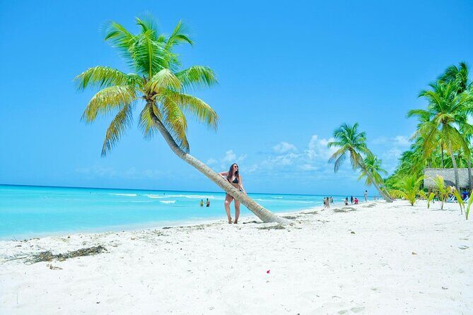 Saona Island Tour with Lunch and Open Bar - Key Points