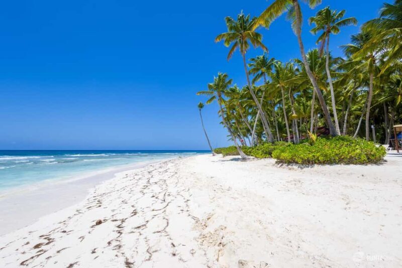 Saona Island Tour with Lunch and Open Bar - Who Will Love This Tour?